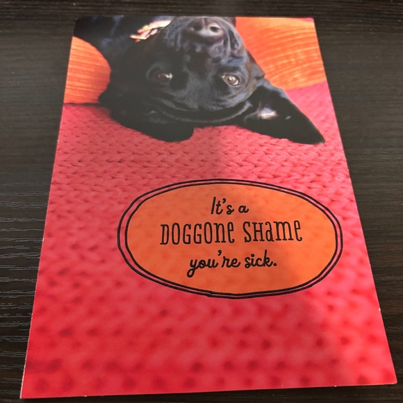 Dog Get Well Card - Picture 1 of 2